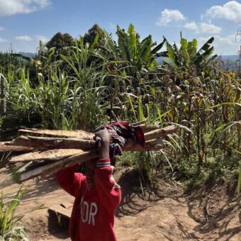 een Tanzaniaanse man met fleurige kleding loopt met een bos takken op zijn hoofd door het landschap in de buurt van Mufindi highlands Tanzania