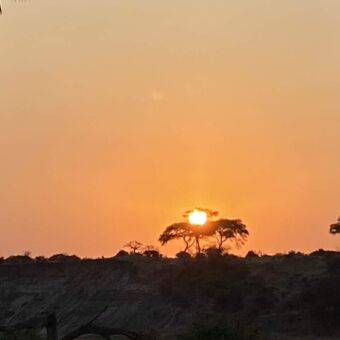 Individuele rondreis door Tanzania. Zonsondergang in Tarangire National Park. De lucht is oranje en de zon schijnt achter een acacaiaboom
