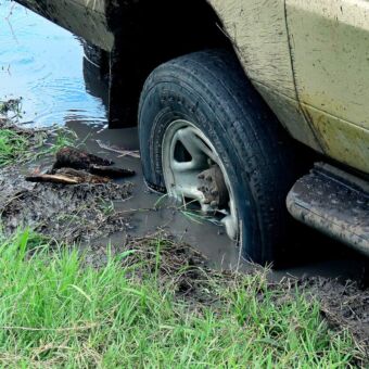 Wiel van de safariauto van droomreis tanzania die vast zit in de modder op de Serengeti Tanzania. Reisverslag rondreis
