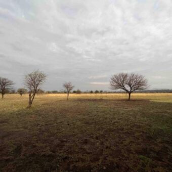 Oneindige vlakte in het Ngororngoro conservation gebied grenzend aan de Serengeti Tanzania
