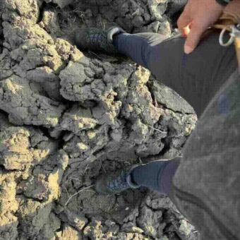 Voetafdruk van twee poten van een olifant. Daarin staan de voeten van een reiziger en dan zie je hoe groot de poten van een olifant zijn. Safari Tanzania