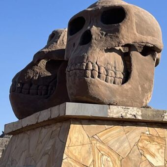 Twee grote schedels bij de ingang van het Olduvay gorge museum Tanzania