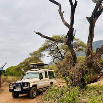 de stoere safariauto van droomreistanzania