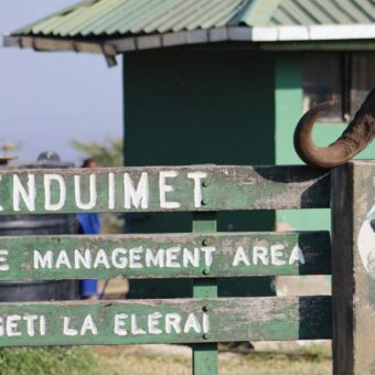bord enduiment safari tanzania