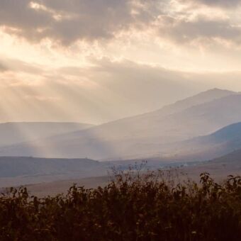 optrekkende mist boven het ngoronrongo landscahp rondreis tanzania