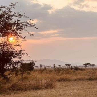 oranje zon die door de bewolking schijnt op het landschap van de serengeti