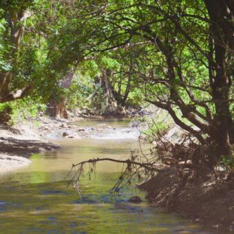 riviertje bij simba farm west kilimanjaro tanzania