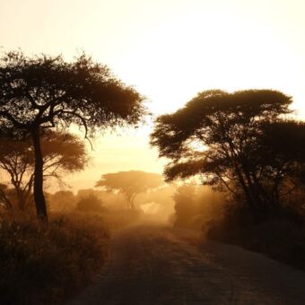 landschap in Tanzania met een stoffige weg en een gouden gloed van de zonsopkomst stoffig landschap in tanzania met een gouden gloed