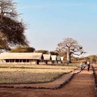 tortilles camp met op het pad gasten van droomreis tanzania