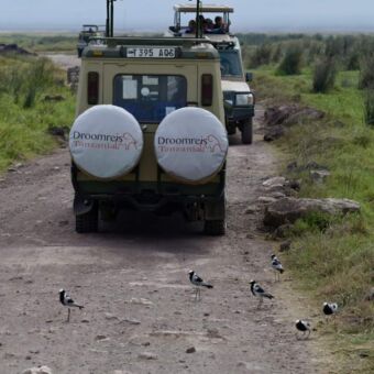 safari auto in de Ngorongoro krater Tanzania