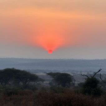 oranje zonsondergang boven de vlaktes van de Serengeti