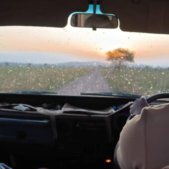 Moeder voorin de safariauto met gids tijdens een gamedrive