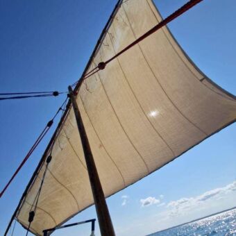 dhow met volle zeilen op Zanzibar