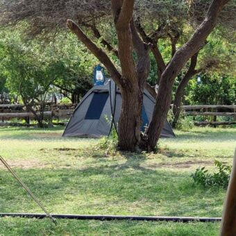 tentje op de camping in Tanzania
