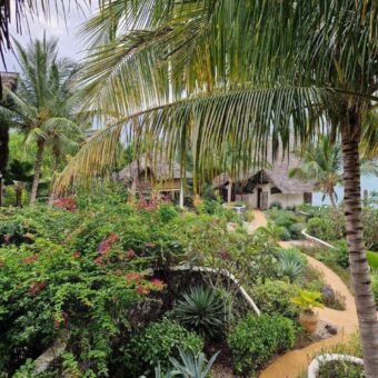tropische tuin op Zanzibar bij het hotel