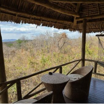 uitzicht vanaf de veranda over de struiken en bossen