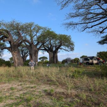 Special campsite in Tarangire