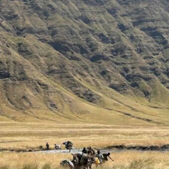 Op de voorgrond ezels met bepakking en daarachter de bergen bij lake Natron