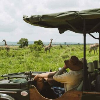 open safari auto met gids en daarachter olifanten