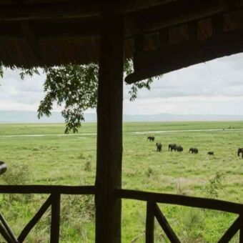 Verrekijker met uitzicht over de vlaktes van Katavi National Park Tanzania