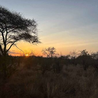 Zonsondergang in het droge Tarangire National Park Tanzania