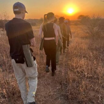 Man en vrouwen met hun gids die bij een opkomende zon een wandelsafari maken in Ruaha Tanzania