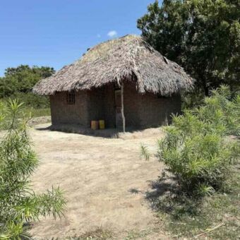 traditioneel klein Tanzaniaans huis van leem en een rieten dak