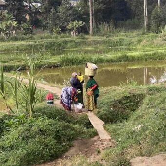 In een groene omgeving en bij water een groep vrouwen die de was hebben gedaan. Een heeft de mand op haar hoofd