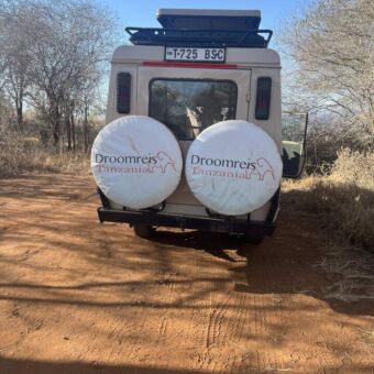 Safari auto van Droomreis Tanzania