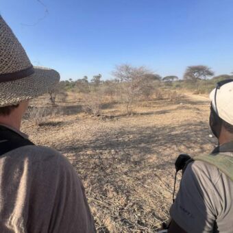 Van achteren een vrouw en gids tijdens een wandelsafari dieren proberen te spotten