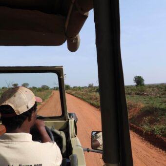 Een ervaren safari-gids manoeuvreert de open Land Cruiser over een zandpad.