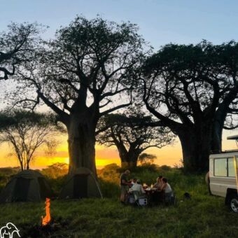 Reizigers genieten van een sfeervol diner bij kaarslicht op een special campsite in Tarangire Tanzania
