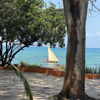 Een traditionele houten boot met zeil vaart op het helderblauwe water voor de kust van Zanzibar